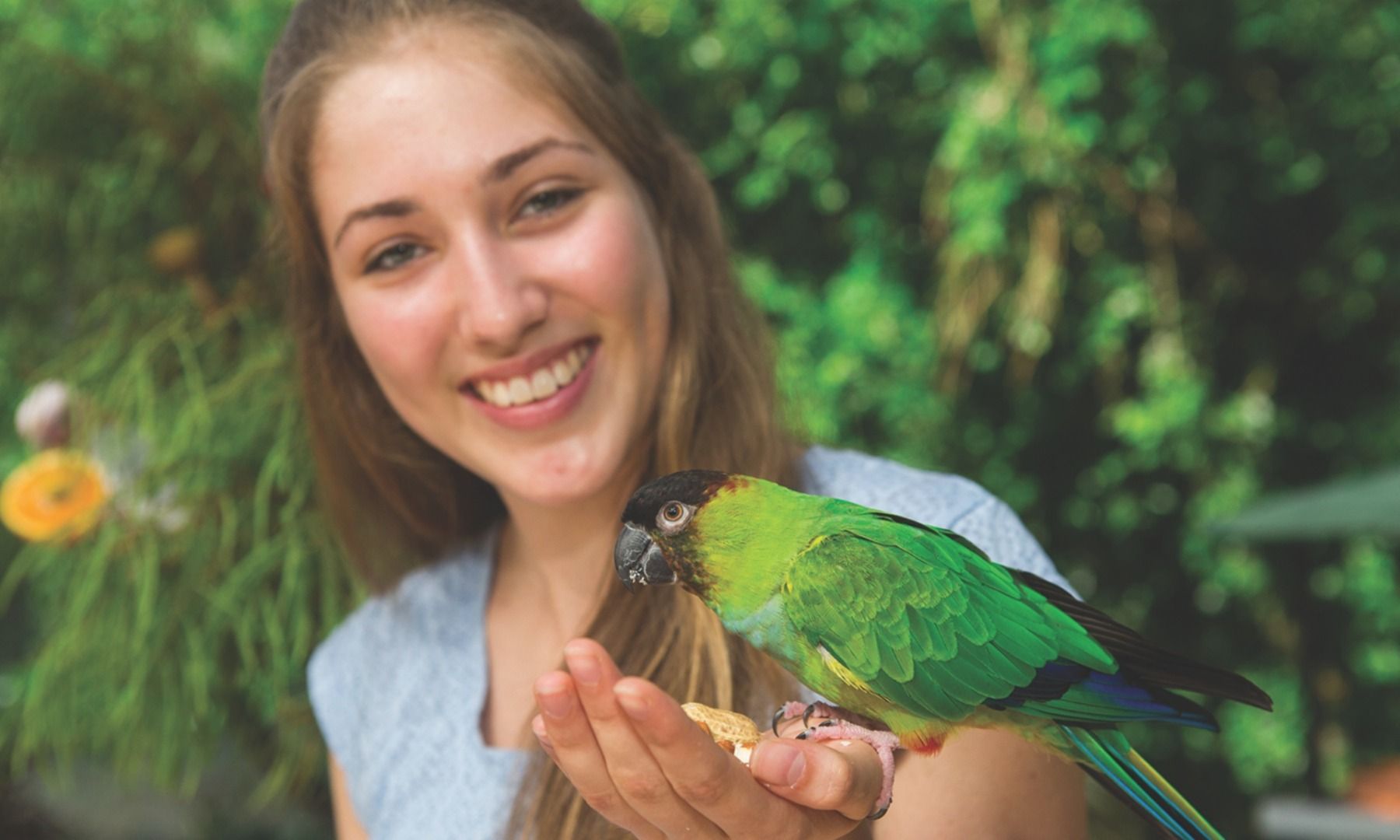 Imagen del tour: Kuranda Bird World General Admission Ticket in Cairns