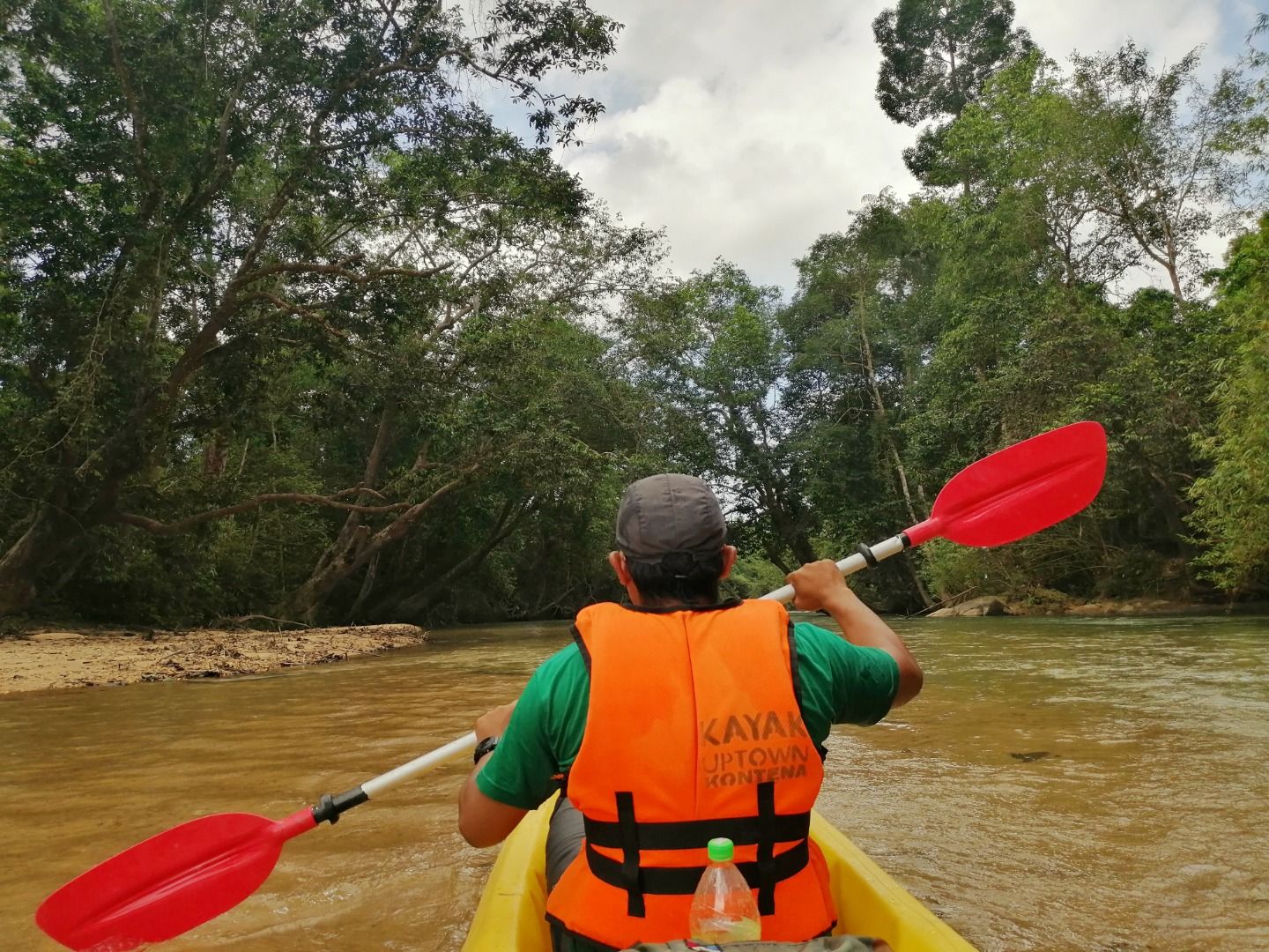 Imagen del tour: Little Amazon River Kayak Experience in Terengganu