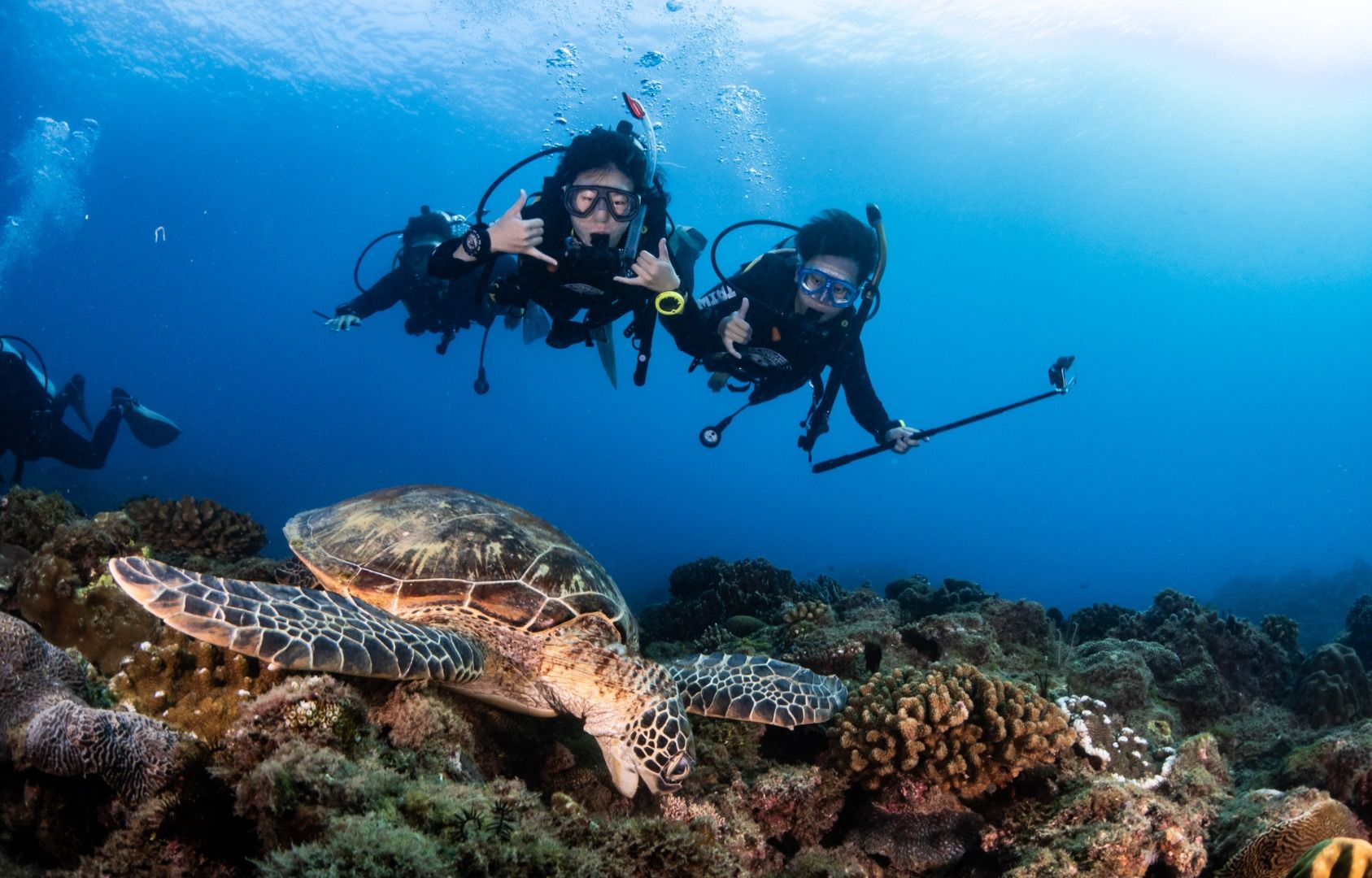 Imagen del tour: Pingtung Kenting | Taiwan Diving｜PADI OW Diver Course