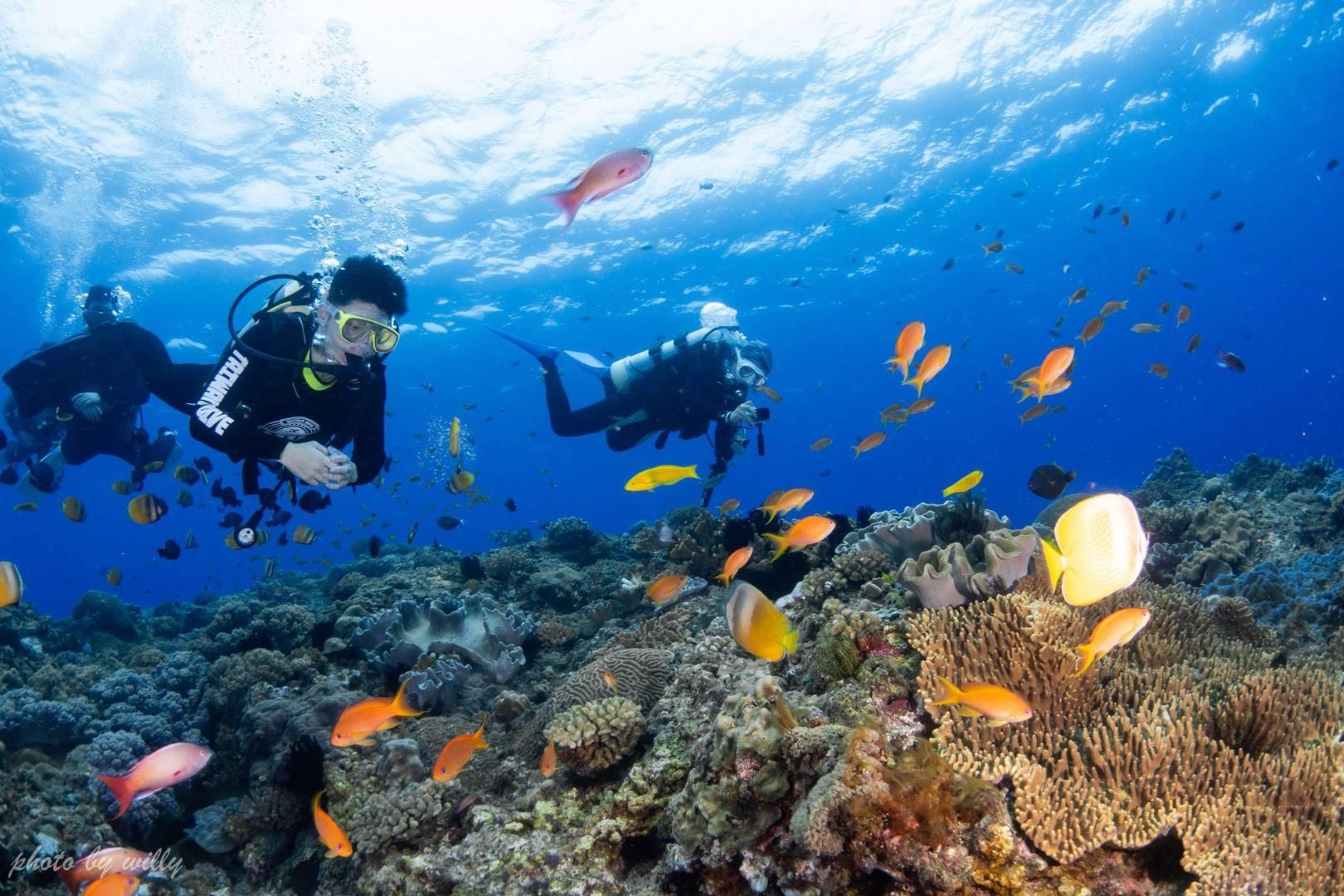 Imagen del tour: Shore Diving in Kenting