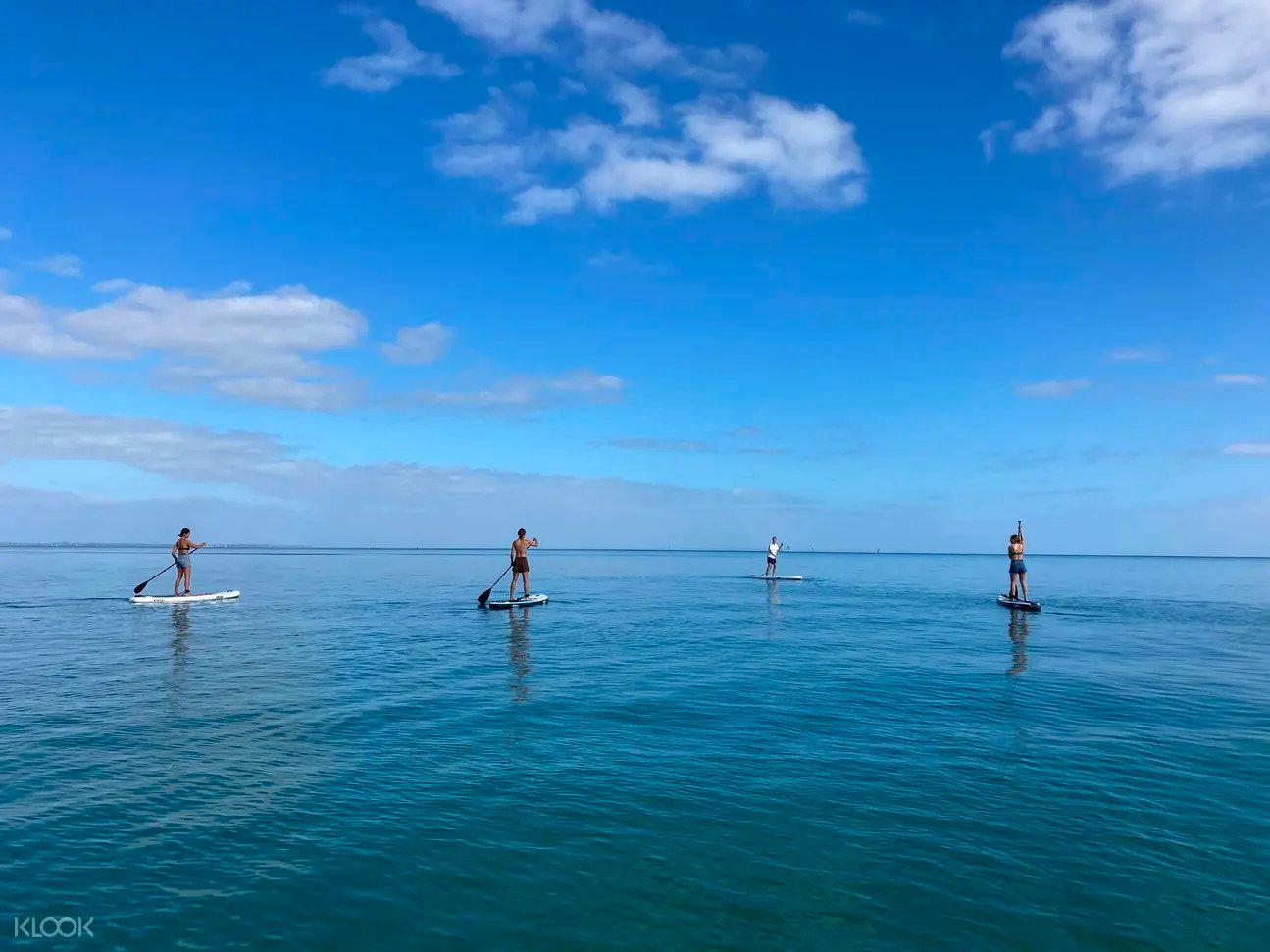 Imagen del tour: Stand Up Paddle Boarding, Lunch and Hot Spring Experience in Mornington Peninsula