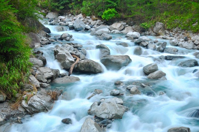 Imagen del tour: Basianshan Forest Recreation Area Ticket in Taichung