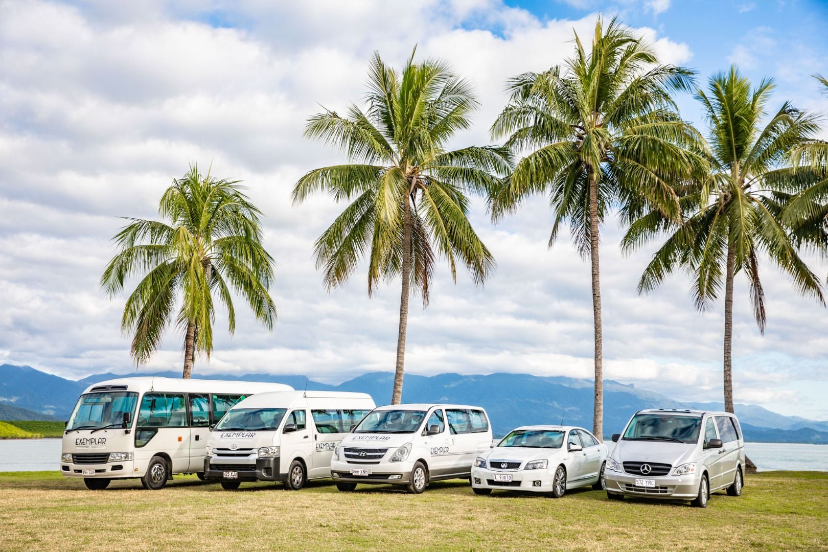 Imagen del tour: Shared Cairns Airport Transfer (CNS) from and to Cairns, Port Douglas, Palm Cove