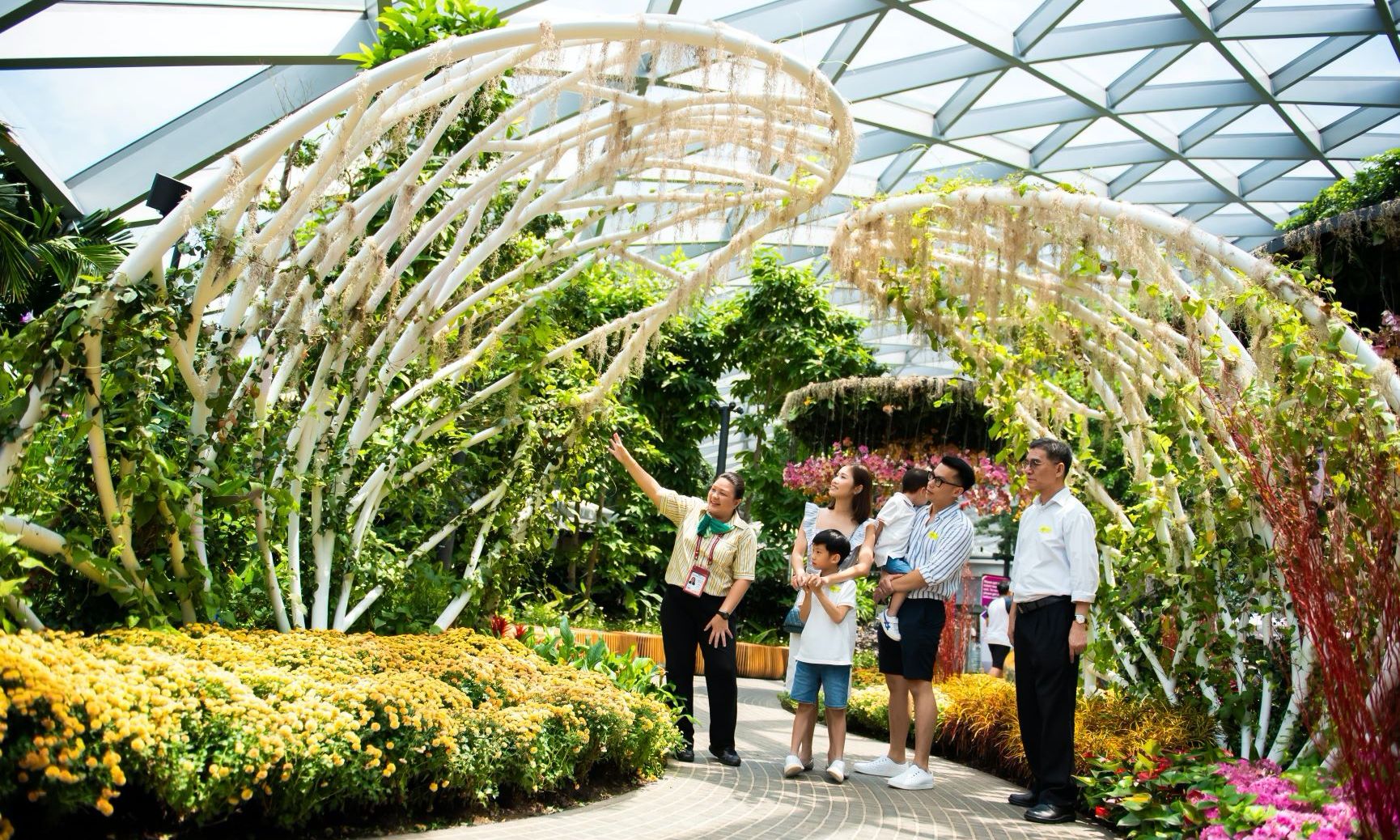 Imagen del tour: Best of Jewel Changi Airport Tour