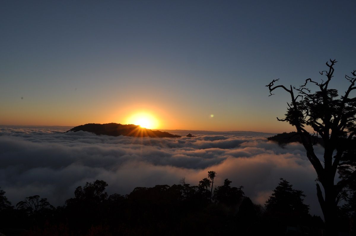 Imagen del tour: Dasyueshan National Forest Recreation Area Ticket in Taichung