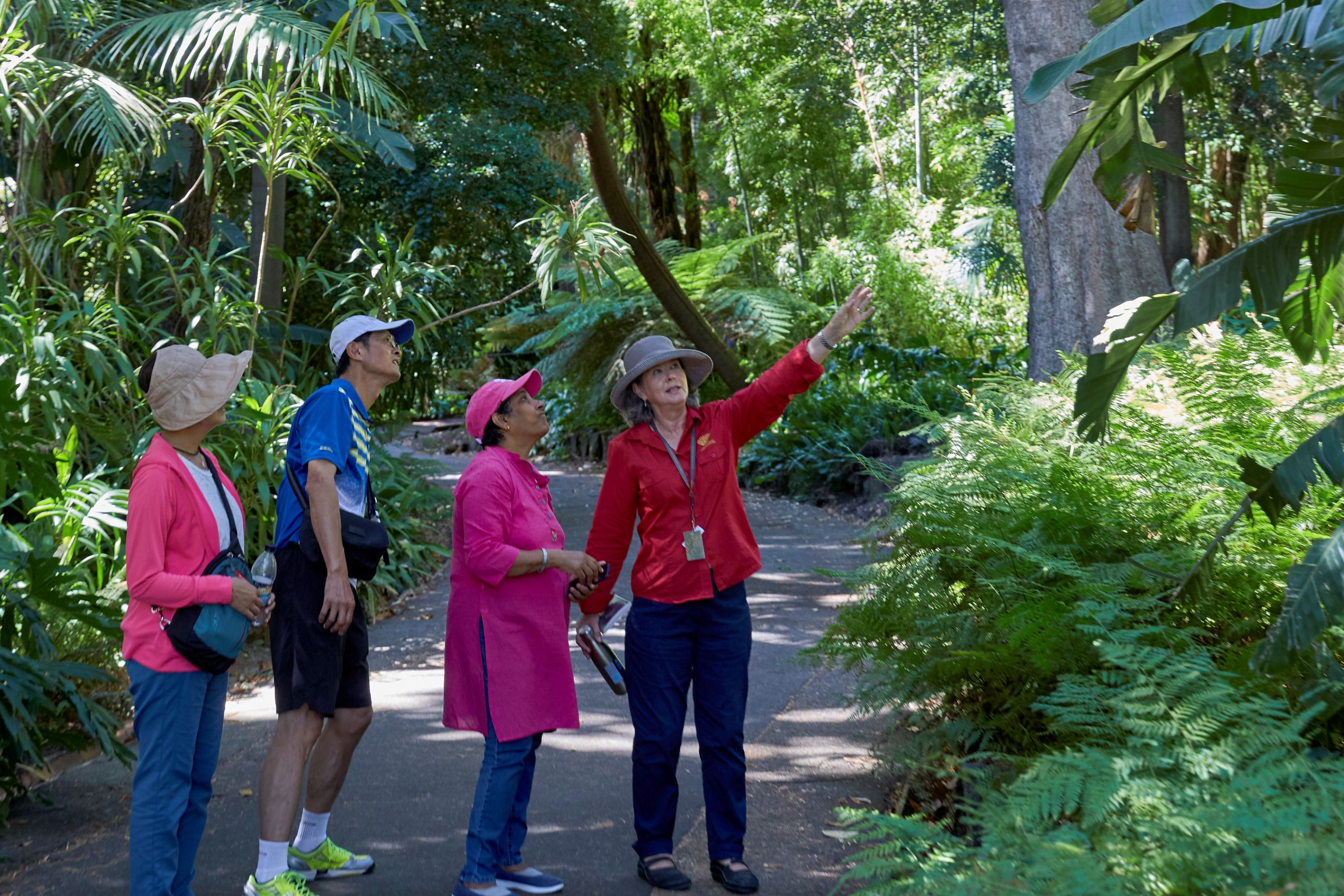 Imagen del tour: Melbourne Royal Botanic Gardens Free Guided Walking Tour