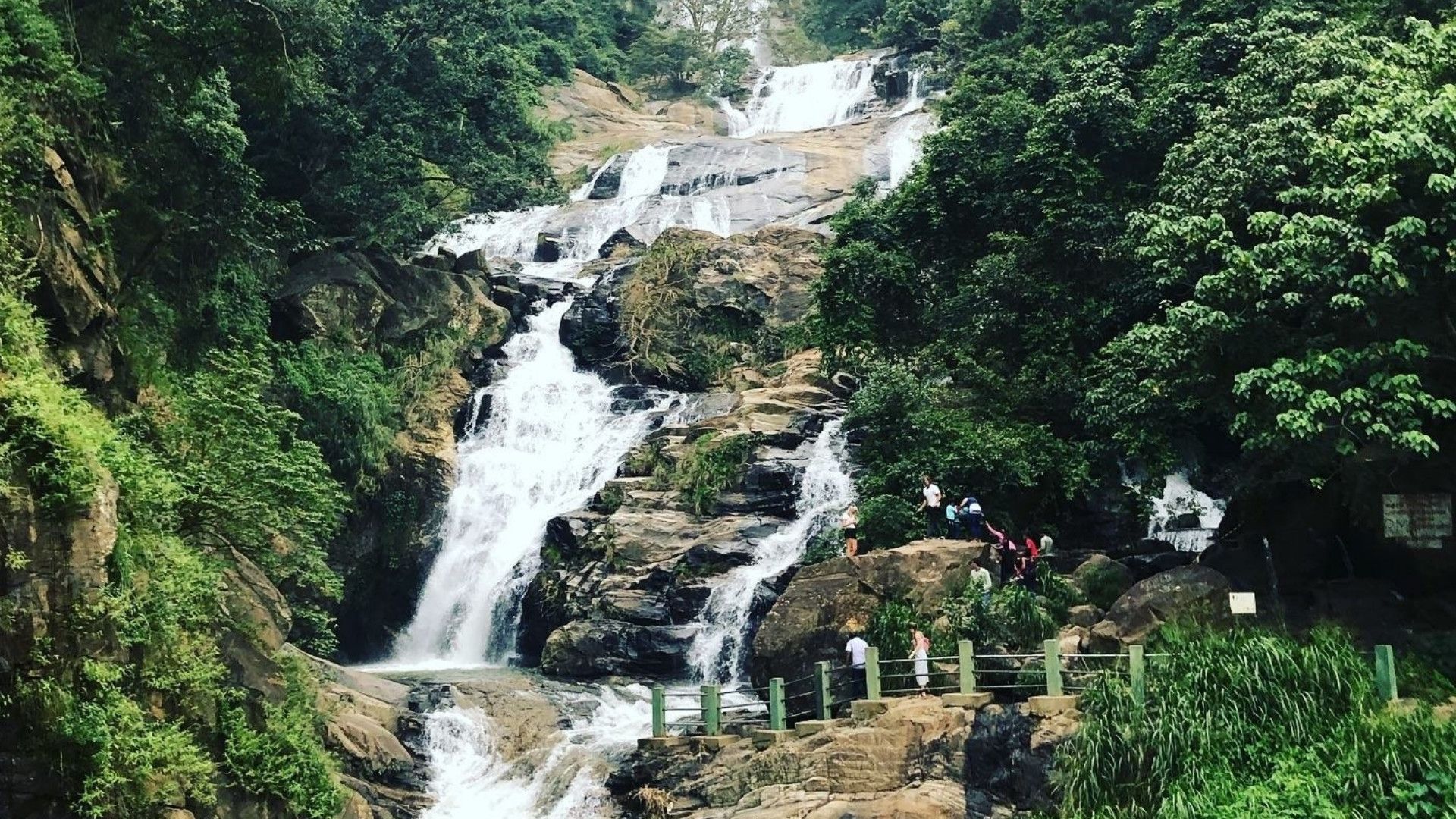 Imagen del tour: Ravana Falls Half Day Tour from Ella