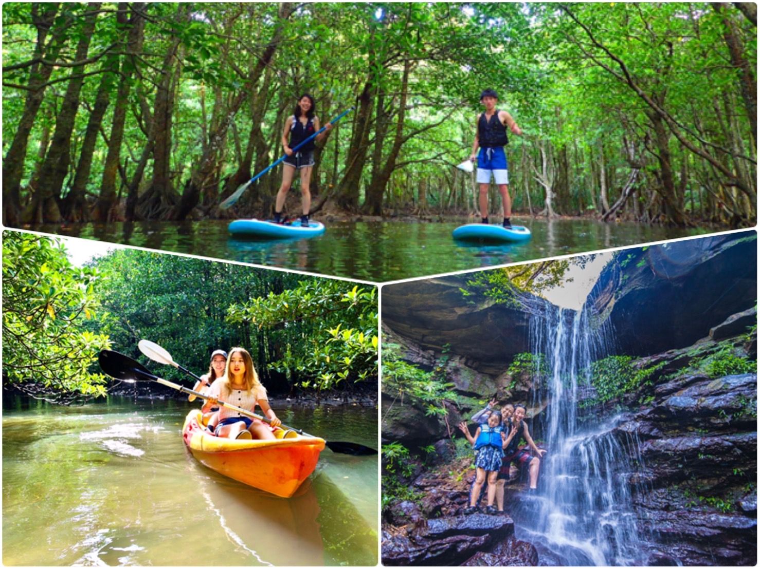 Imagen del tour: SUP or Canoe at Mangrove Forest