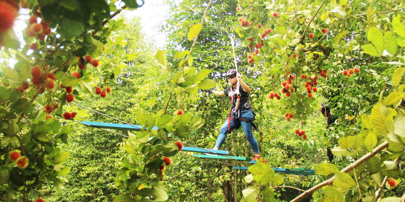 Imagen del tour: Orchard Canopy Walking Experience at Orchard Wellness Resort