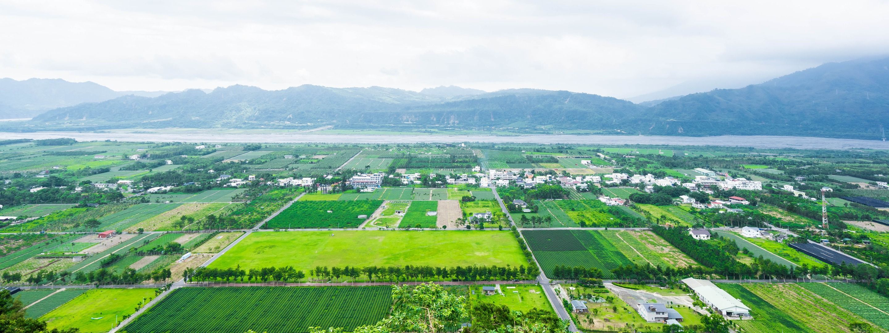 Imagen del tour: Taitung East Rift Valley Half Day Guided Tour