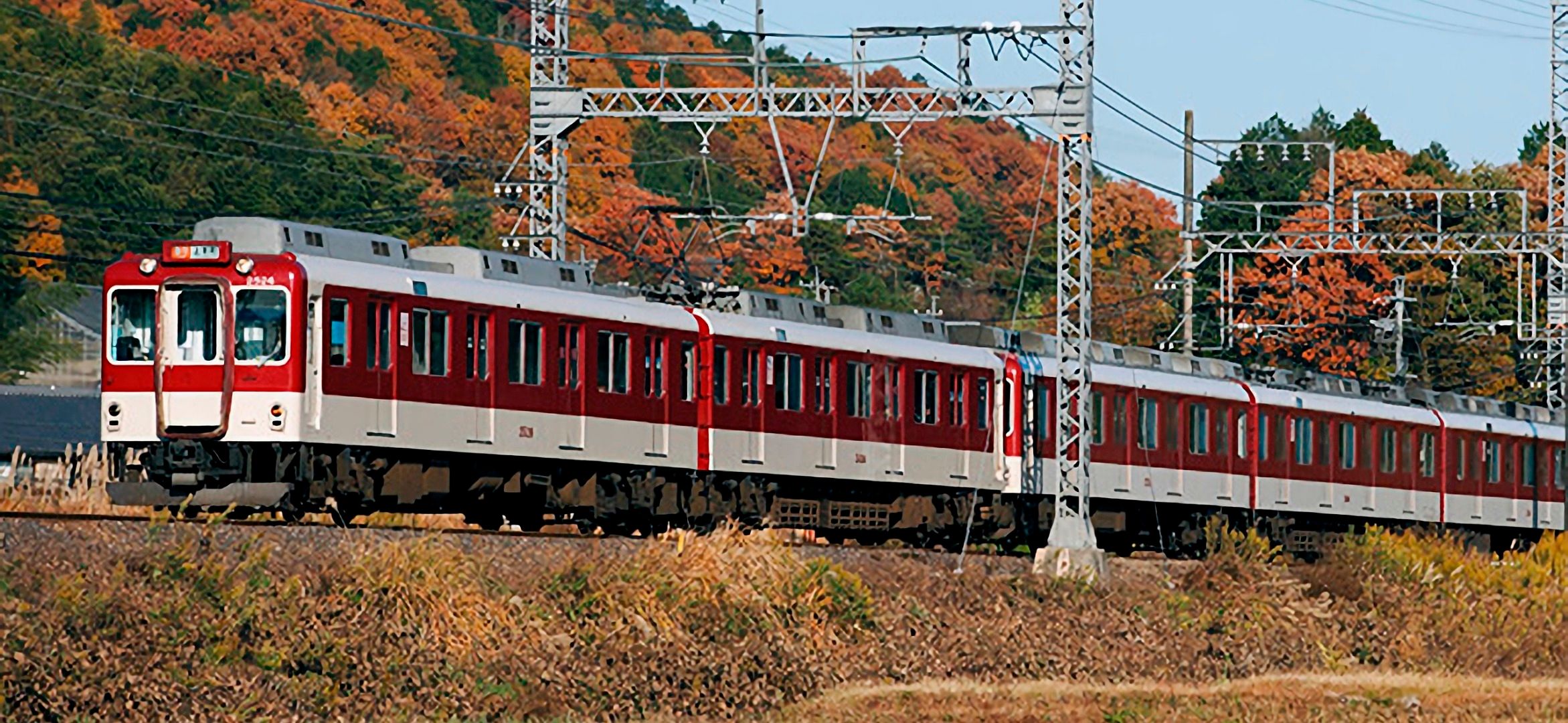 Imagen del tour: Kintetsu Rail Pass (1 Day/2 Days/5 Days/Plus)