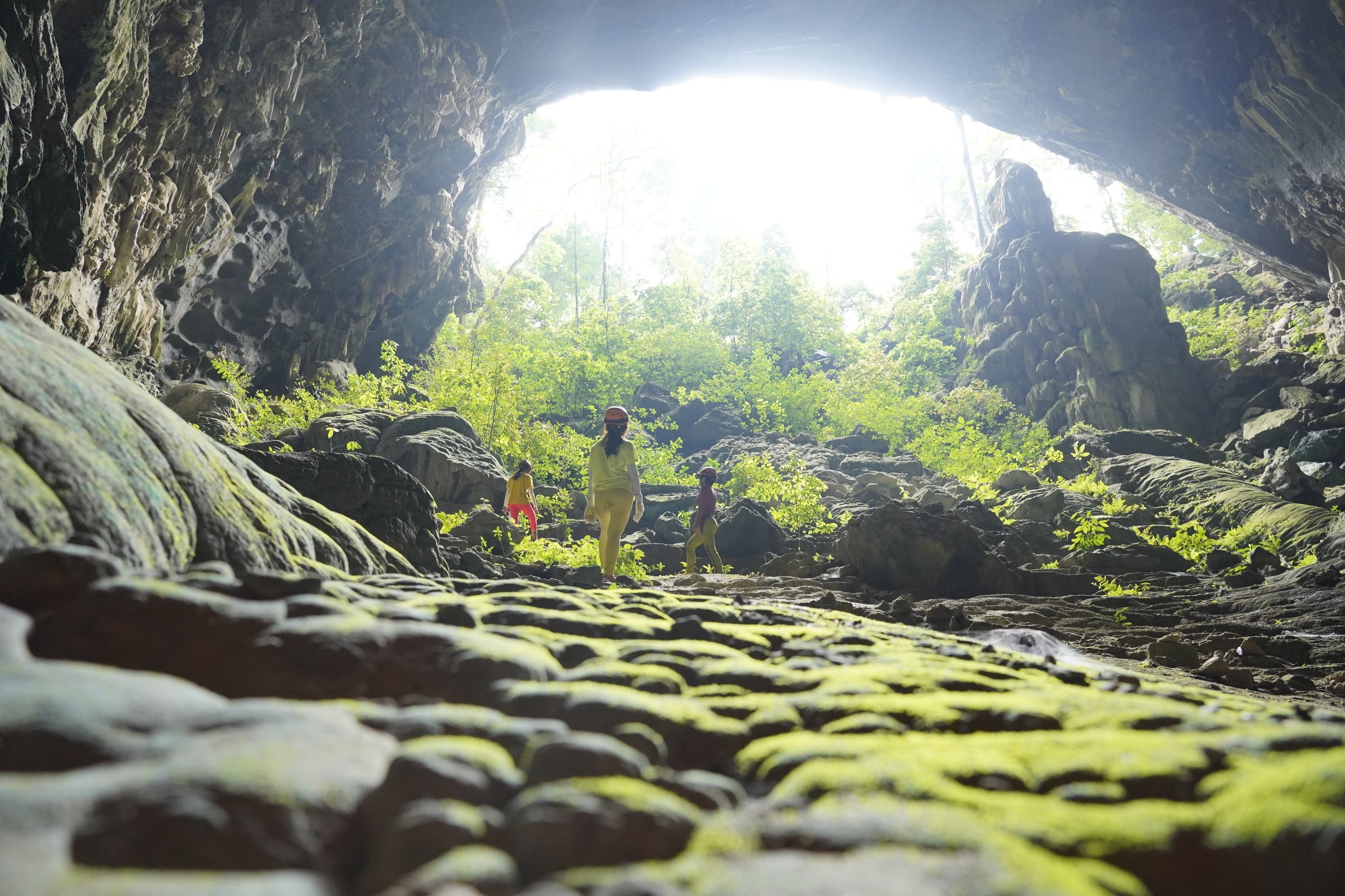 Imagen del tour: Camping & Trekking 2D1N Tour: Explore Phong Nha - Ke Bang National Park, Ma Da Valley