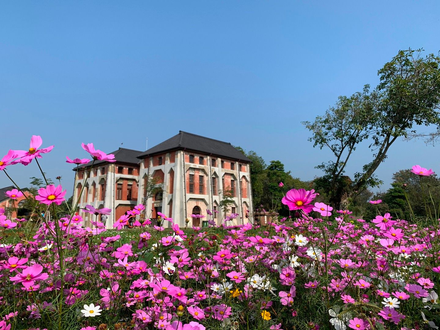 Imagen del tour: [KLOOK Exclusive] Tainan Shan-Shang Garden and Old Waterworks Museum Admission Ticket