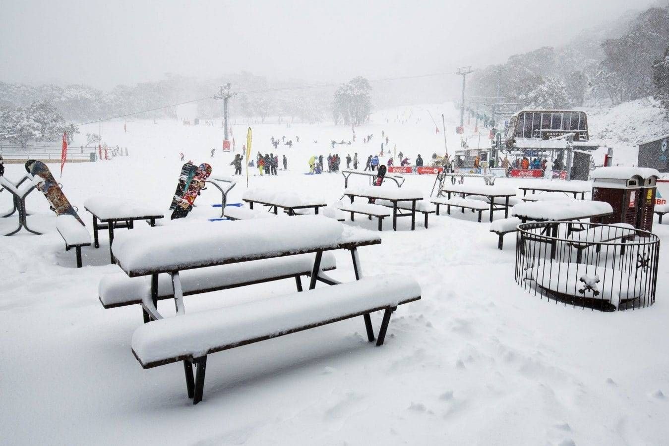 Imagen del tour: Thredbo and Perisher Day Trip from Canberra