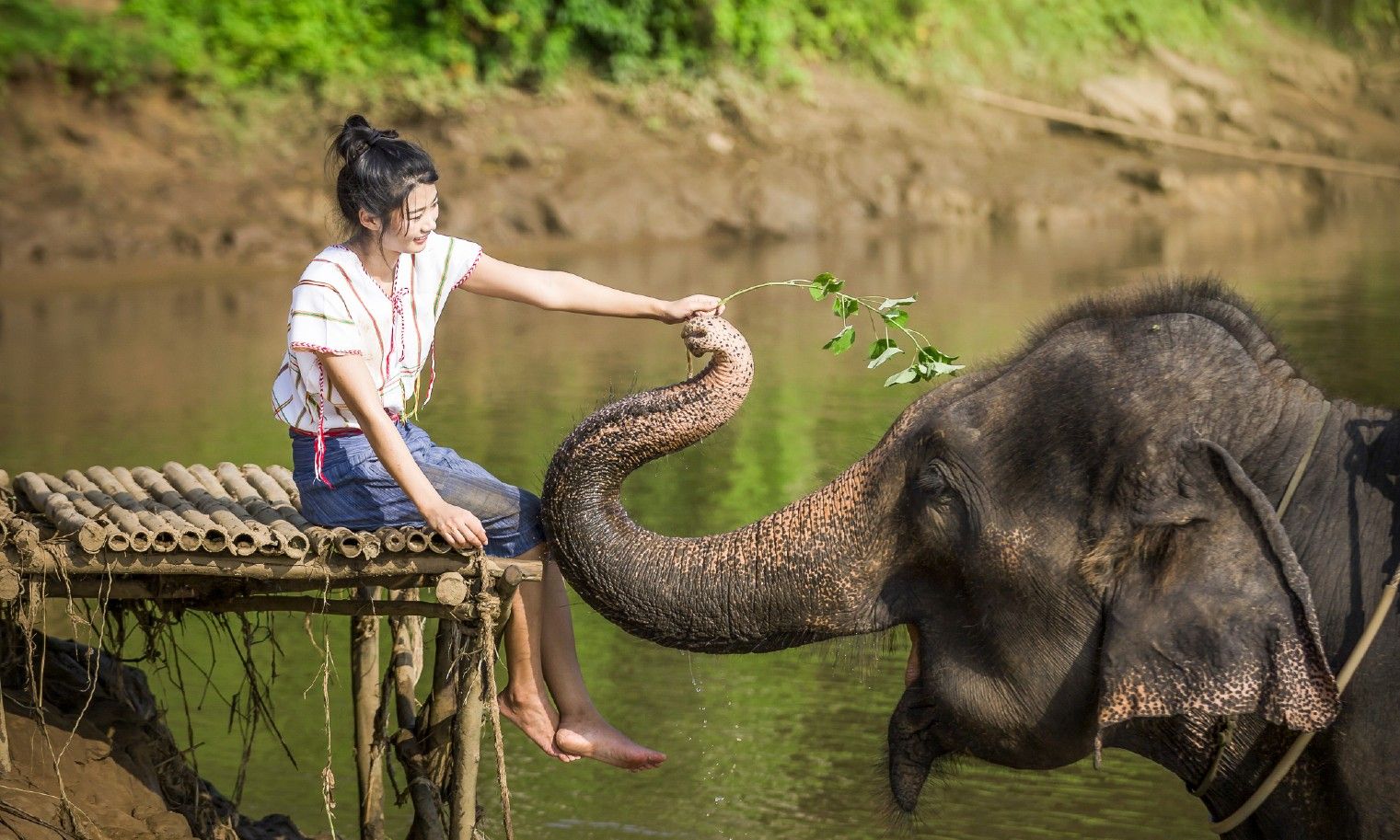 Imagen del tour: Elephant Sanctuary & Erawan Waterfall Tour from Bangkok – Full Day