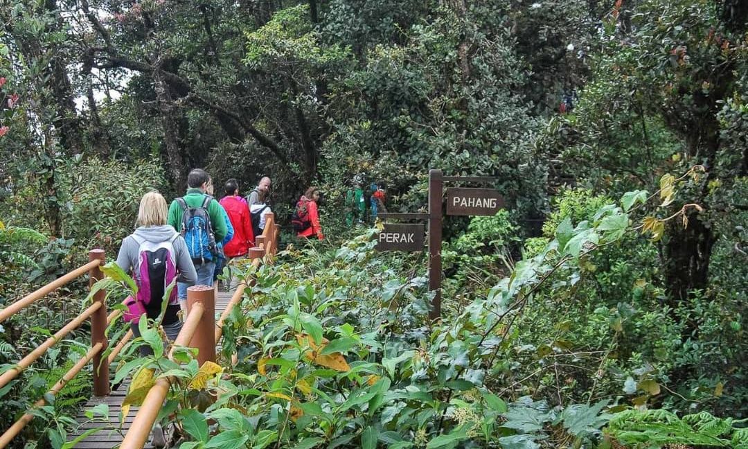 Imagen del tour: Gunung Jasar Mountain Trekking Tour