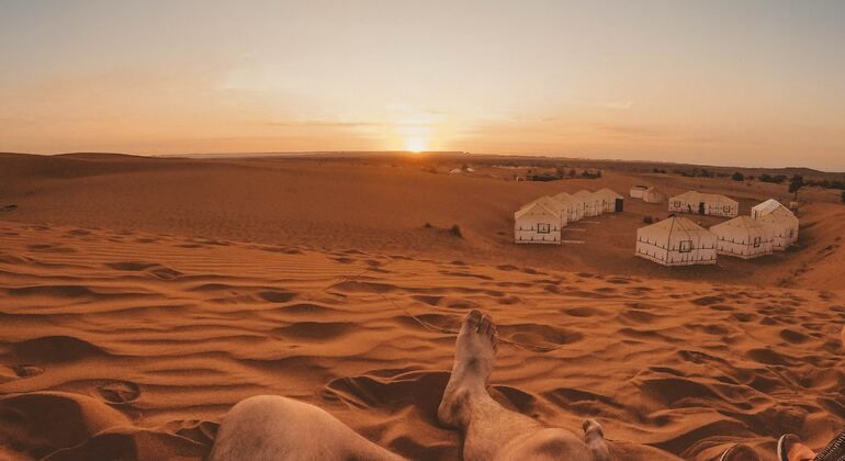 Imagen del tour: Excursión nocturna por el desierto