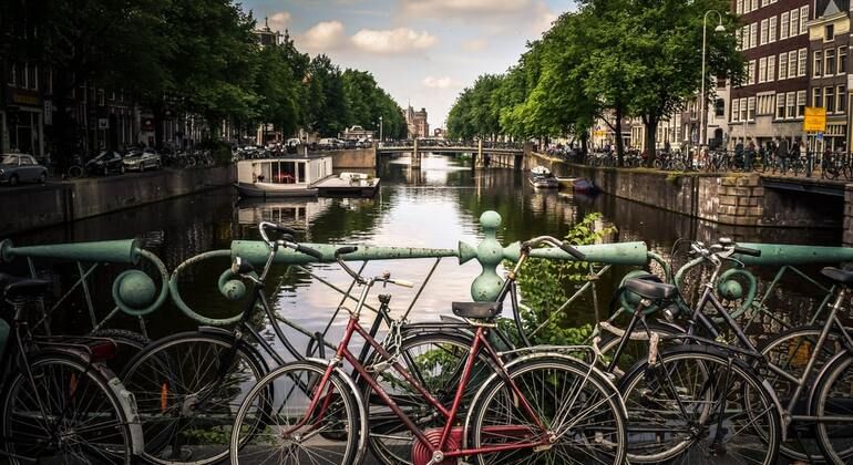 Imagen del tour: Tour por el Barrio Judío de Ámsterdam y la Segunda Guerra Mundial