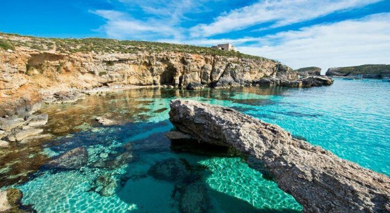 Imagen del tour: Day of Turquoise Waters in Comino!