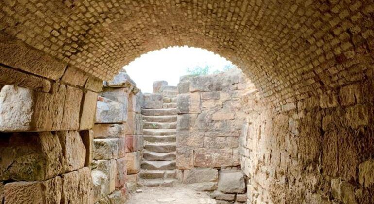 Imagen del tour: Visita Guiada al Yacimiento Arqueológico de Cástulo