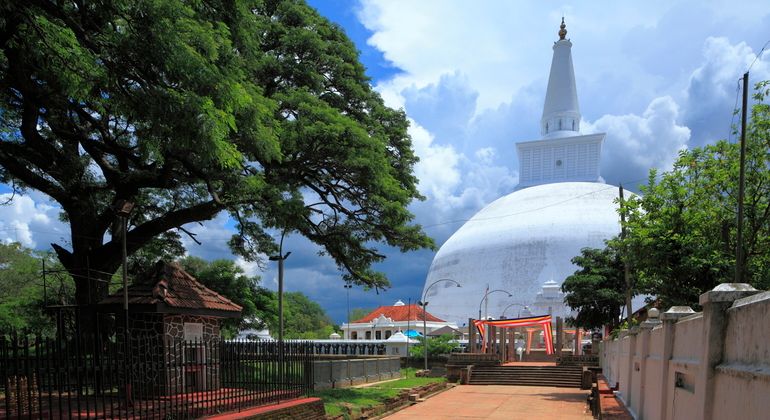 Imagen del tour: Tour en bicicleta por la ciudad antigua de Anuradhapura