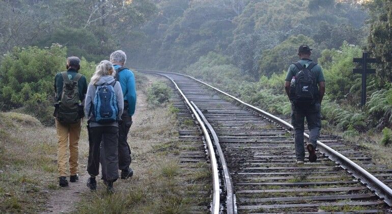 Imagen del tour: Excursión privada y guiada en ferrocarril a Horton Plains Borders