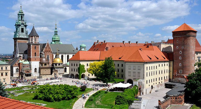 Imagen del tour: Excursión de un día a Cracovia y Auschwitz con almuerzo