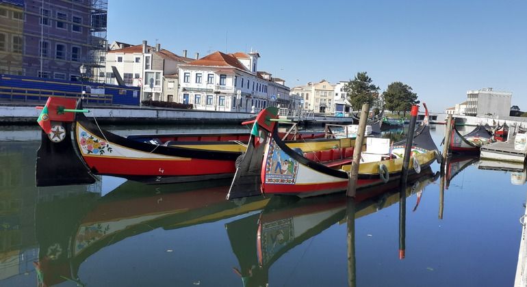 Imagen del tour: Barco panorámico Moliceiro en Aveiro