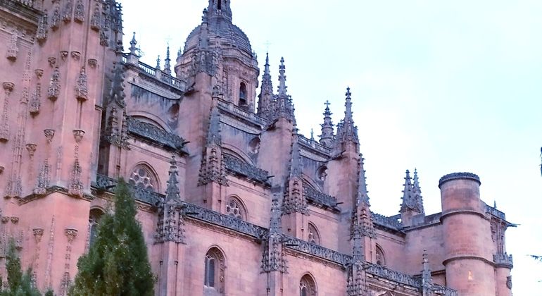 Imagen del tour: Free Tour Salamanca Indispensable