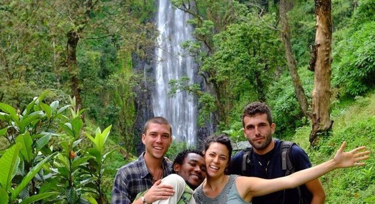 Imagen del tour: Excursión de un día a las cataratas de Materuni y al café en Moshi