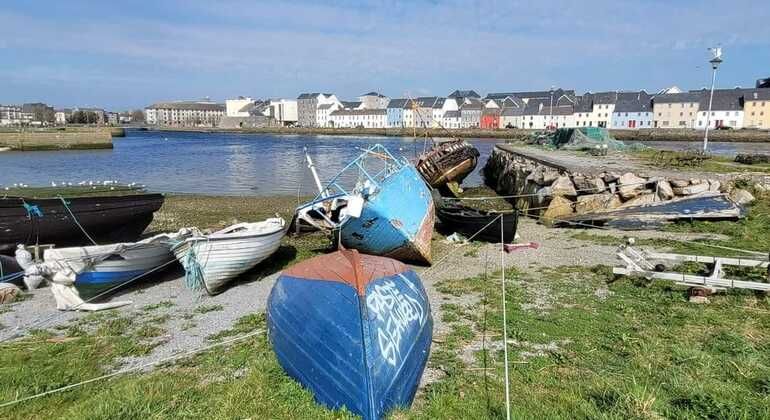 Imagen del tour: El gran tour de la ciudad de Galway