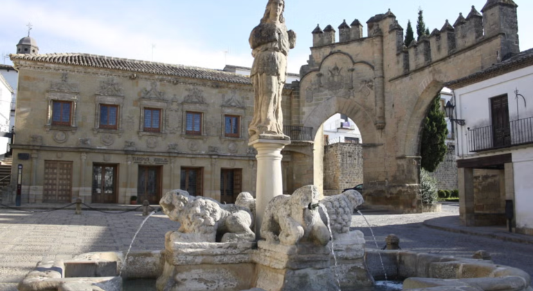 Imagen del tour: Free Tour por Baeza (Jaén, España)