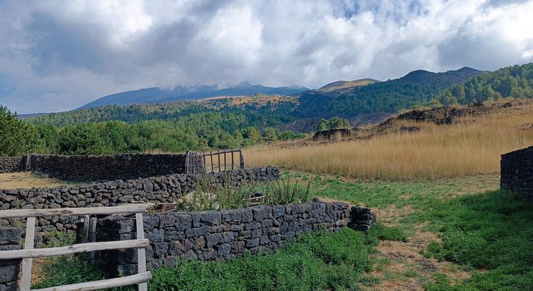 Imagen del tour: Excursión de senderismo al Etna con guía naturalista