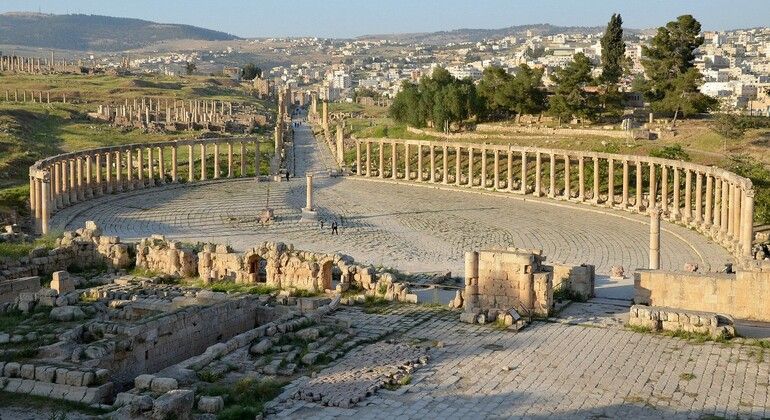 Imagen del tour: Descubra Ajloun y Jerash: Un viaje histórico por el norte de Jordania