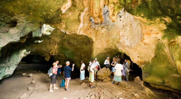 Imagen del tour: Recorrido gratuito por la naturaleza de Oloolua