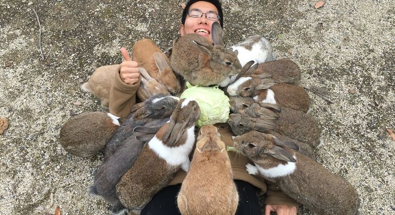 Imagen del tour: Okunoshima, Excursión a la Isla de los Conejos
