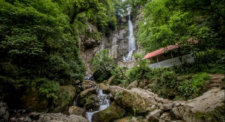 Imagen del tour: Excursión enogastronómica a la cascada de Makhuntseti desde Batumi