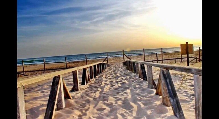 Imagen del tour: Tour en 4X4 por las Playas de Vejer, Trafalgar, La Costa de La Luz