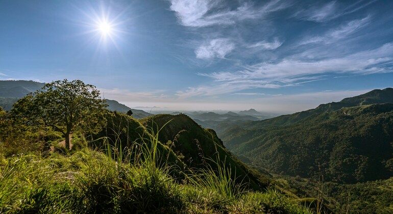 Imagen del tour: Descubra Ella - Little Adam's Peak, Ella Rock y Nine Arch Bridge