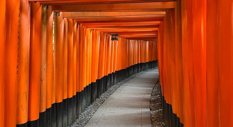 Imagen del tour: Excursión gratuita a Fushimi Inari: Descubra la belleza del famoso santuario japonés