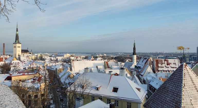 Imagen del tour: Descubre la Tallinn Medieval