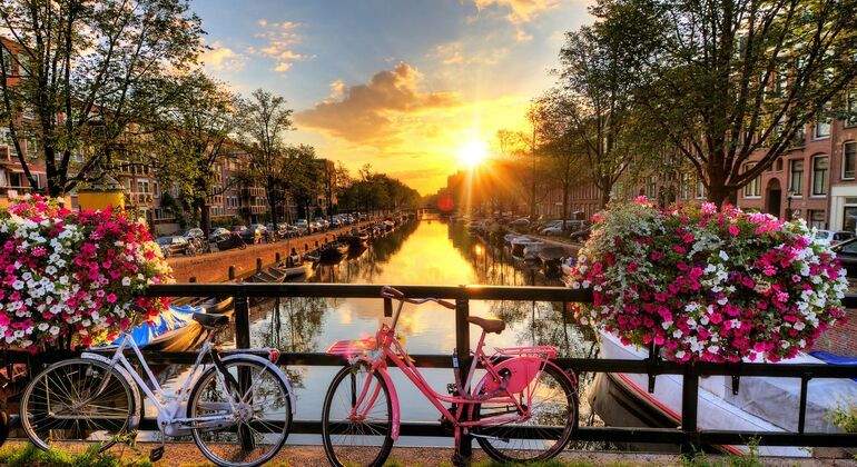 Imagen del tour: Experiencia en bicicleta en Ámsterdam