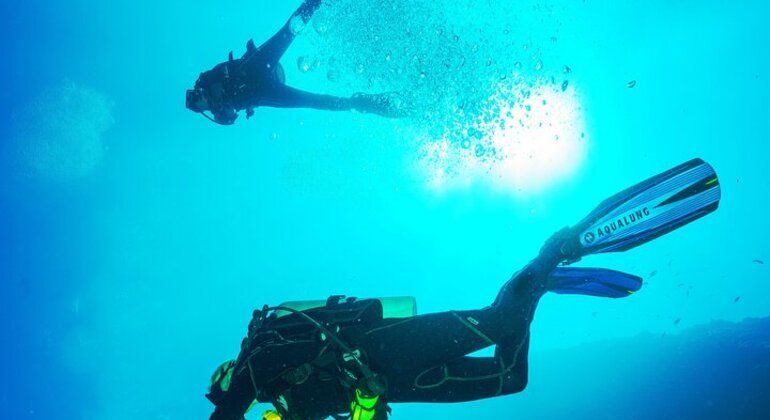 Imagen del tour: Buceo en Hikkaduwa