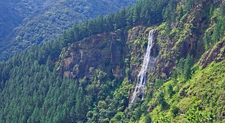 Imagen del tour: Caza en cascada - Cascadas de Bambarakanda y Lanka + Baño en piscina natural