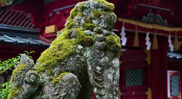 Imagen del tour: Excursión de un día a Nikko, Patrimonio Cultural de la Humanidad, desde Tokio