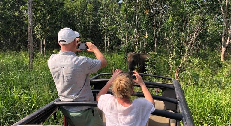 Imagen del tour: Safari en jeep con elefantes en el Parque Nacional de Minneriya