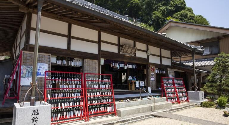 Imagen del tour: Nagoya: Excursión en Coche con Todo Incluido al Valle de Korankei