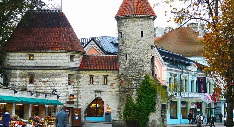 Imagen del tour: Tallinn a Través de los Siglos: Un Paseo Histórico