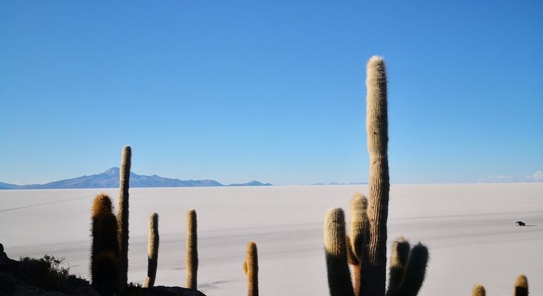 Imagen del tour: Salar de Uyuni