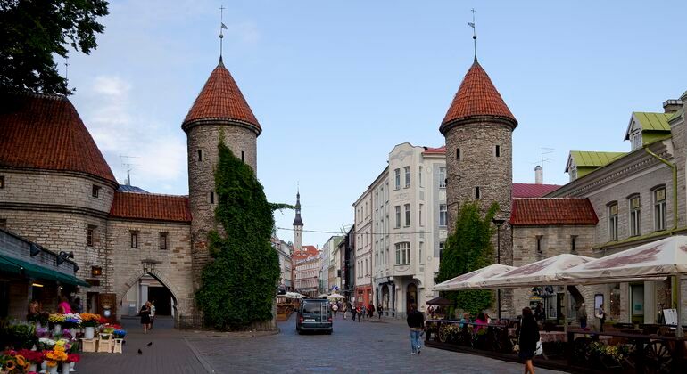 Imagen del tour: Free Tour por el Centro de Tallin